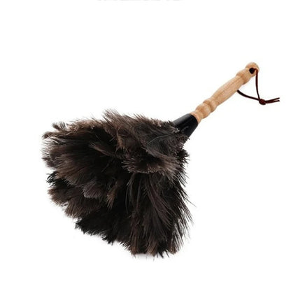 Strutsinsulkainen pölyhuiska sivulta, ripustuslenkki varren päässä